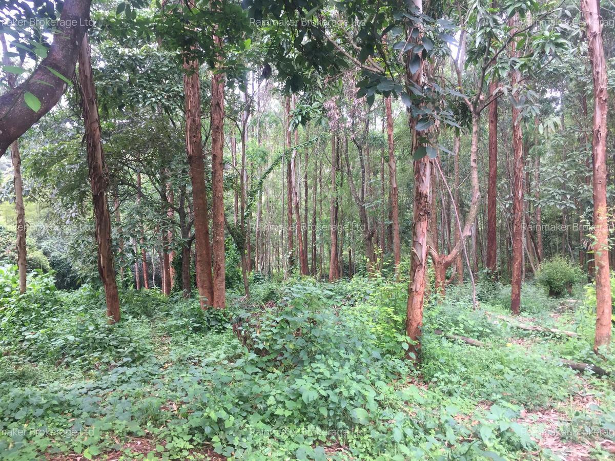 Land in Kitisuru - 3