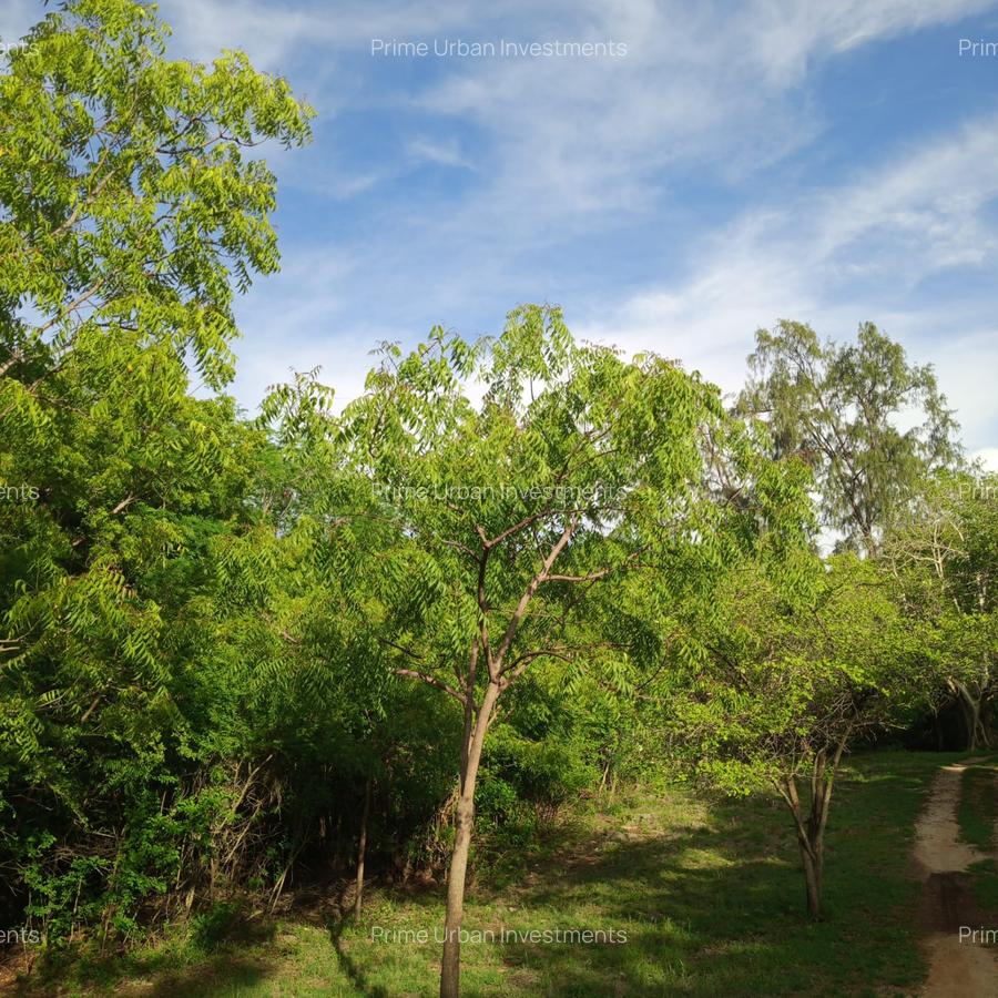 90 ac Residential Land at Kuruwitu-Vipingo - 14