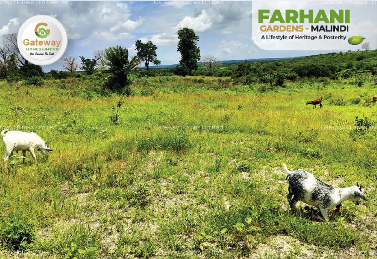 1 ac Residential Land in Malindi - 8