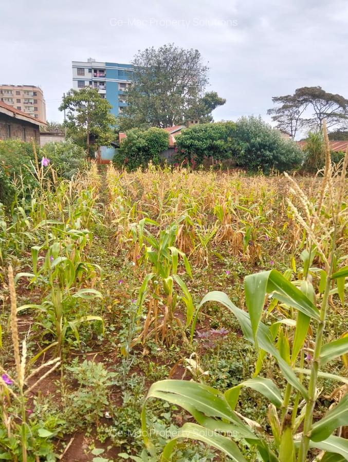 Commercial Land at Kirawa Road - 3