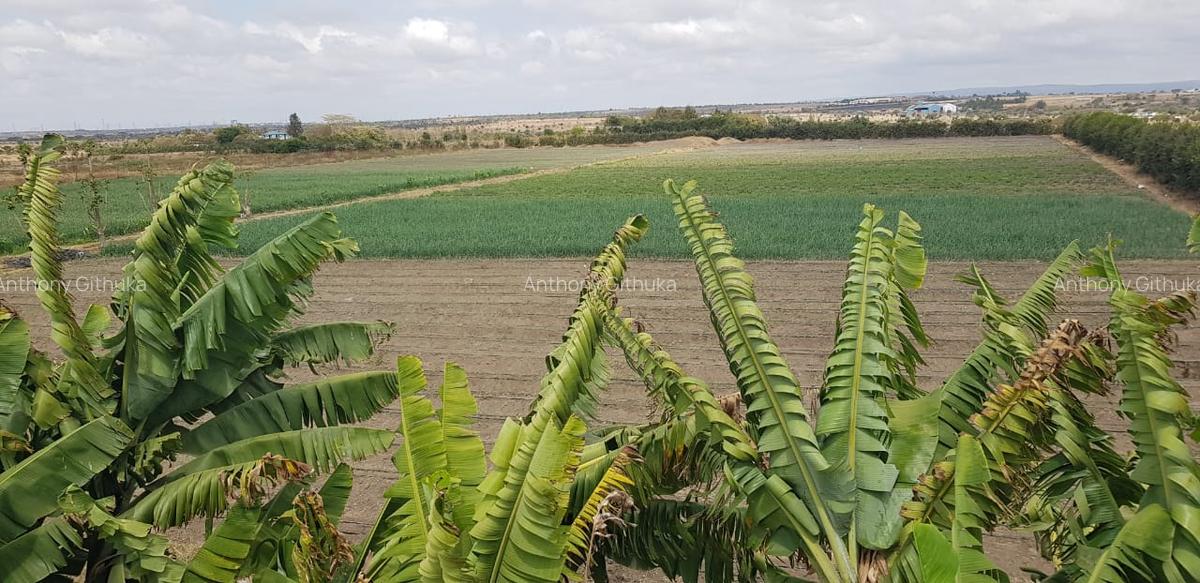 10 ac Land in Isinya - 1