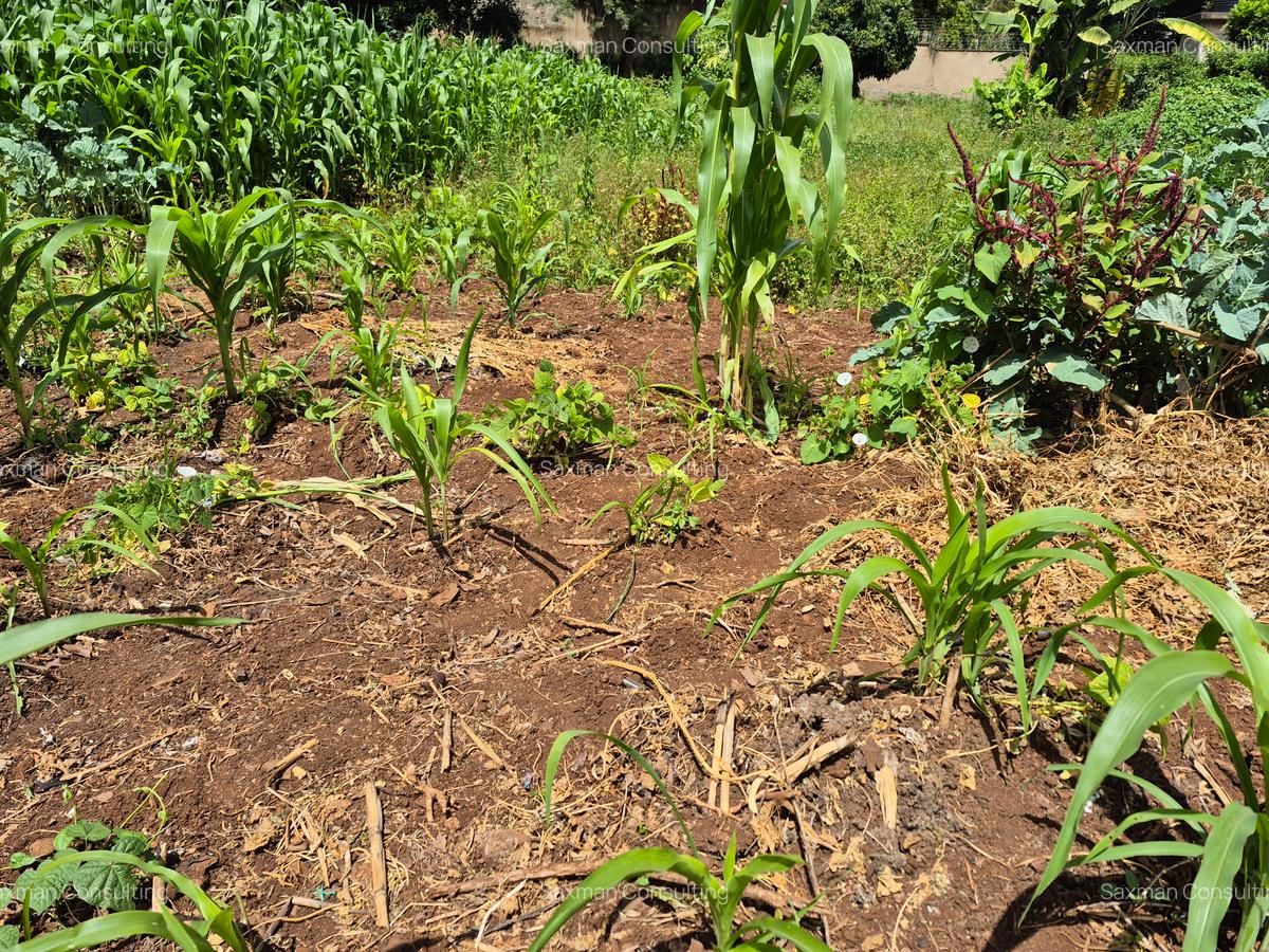 Residential Land in Kitisuru - 4
