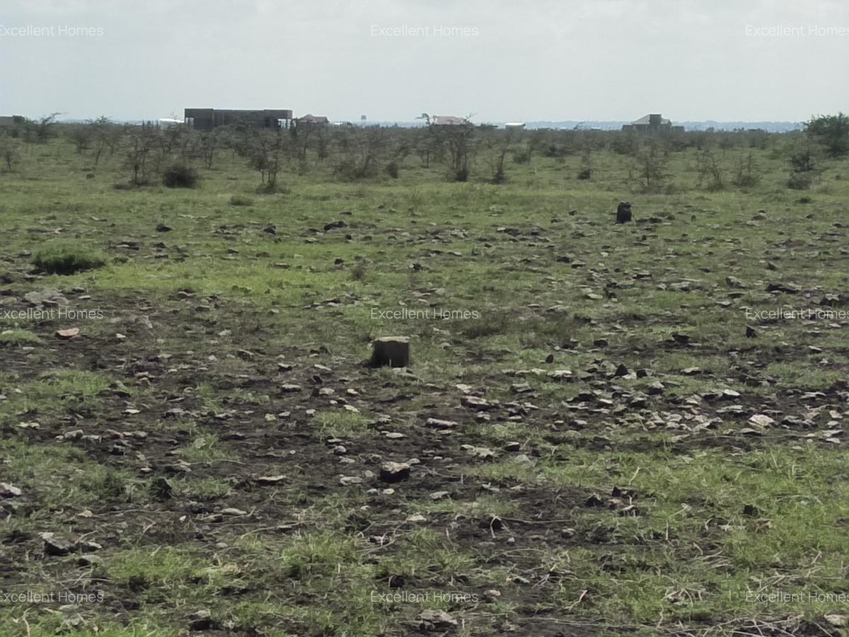 474 ac Land at Kamakis Mwalimu Farm - 3