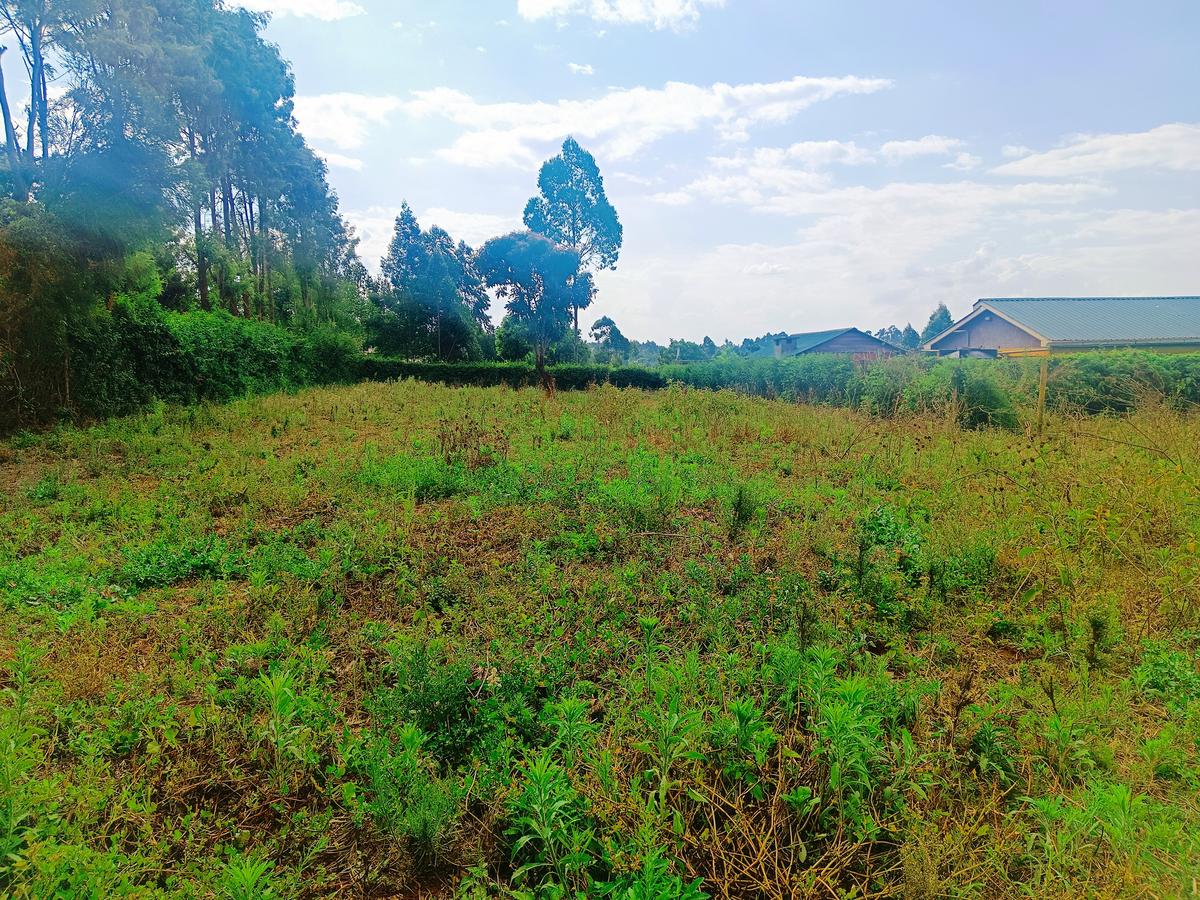 1,000 m² Residential Land at Karie - 6