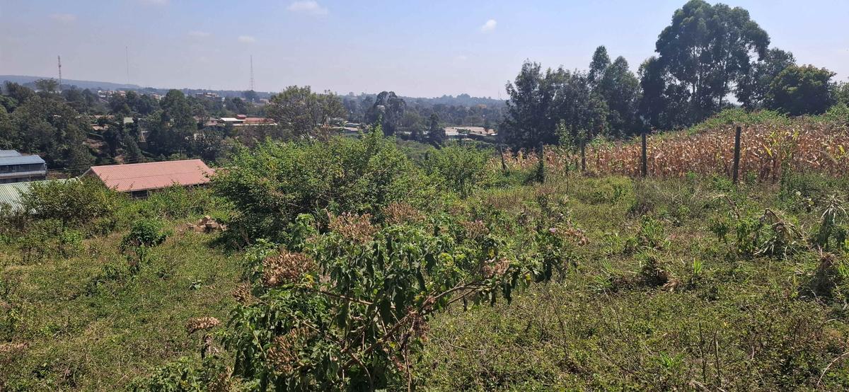 Land in Ngong - 5