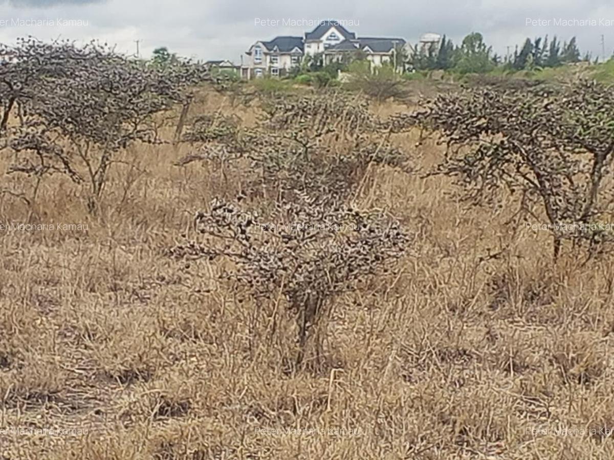 50 ac Land in Konza City - 1