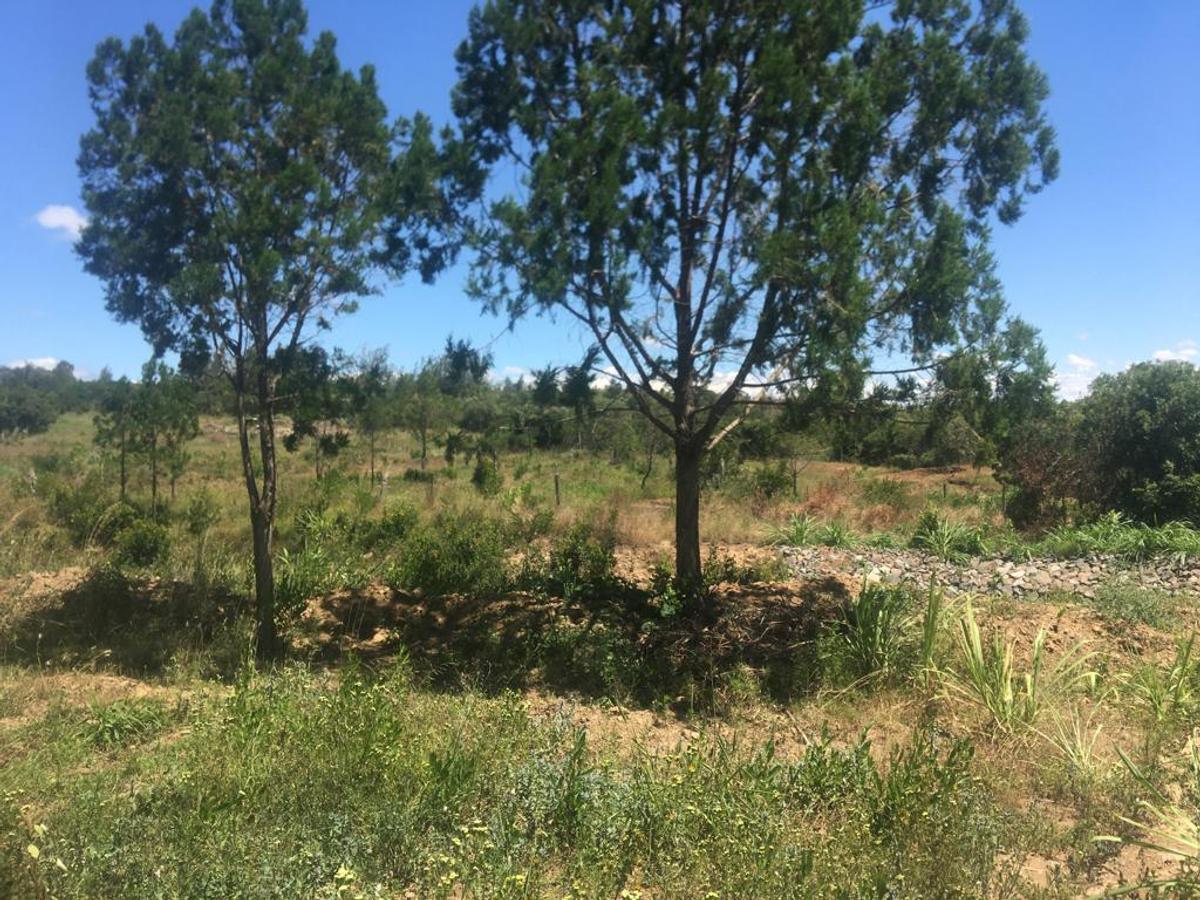 Residential Land at Narumoru-Kileleshwa - 6