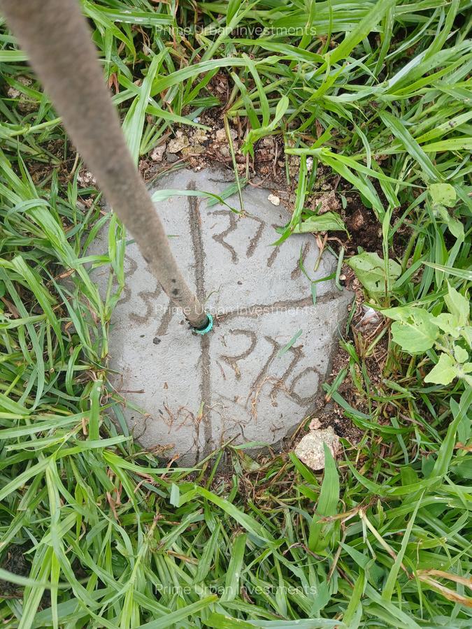 2 ac Land in Watamu - 8