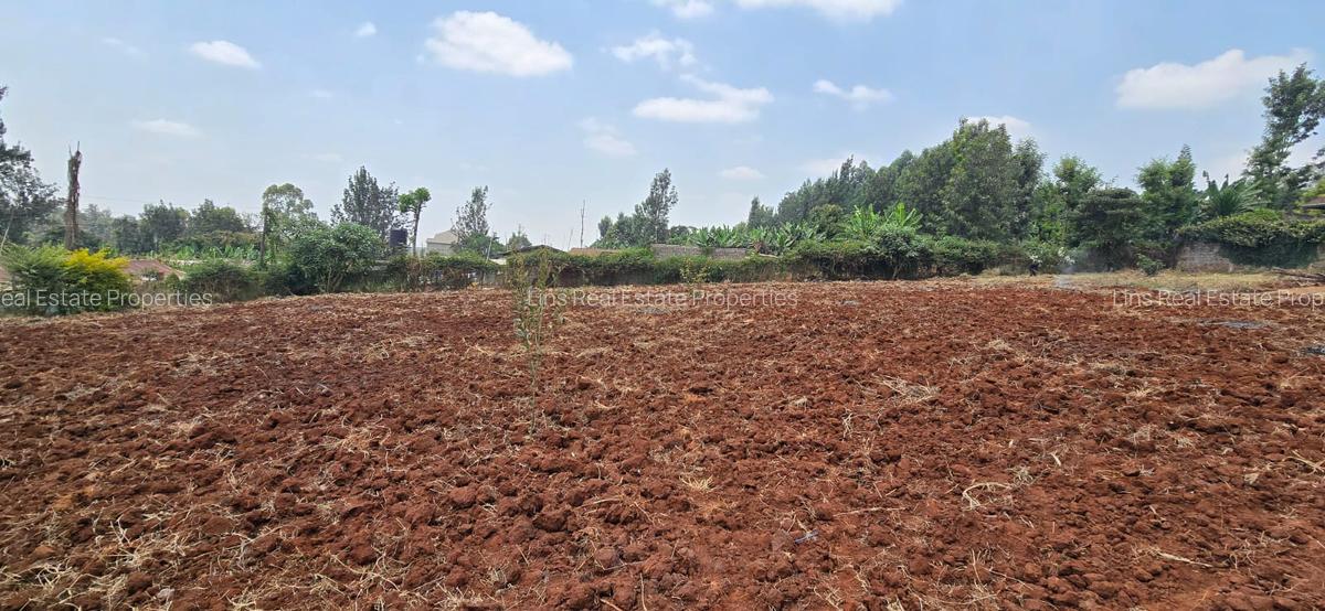 Land in Thindigua - 4