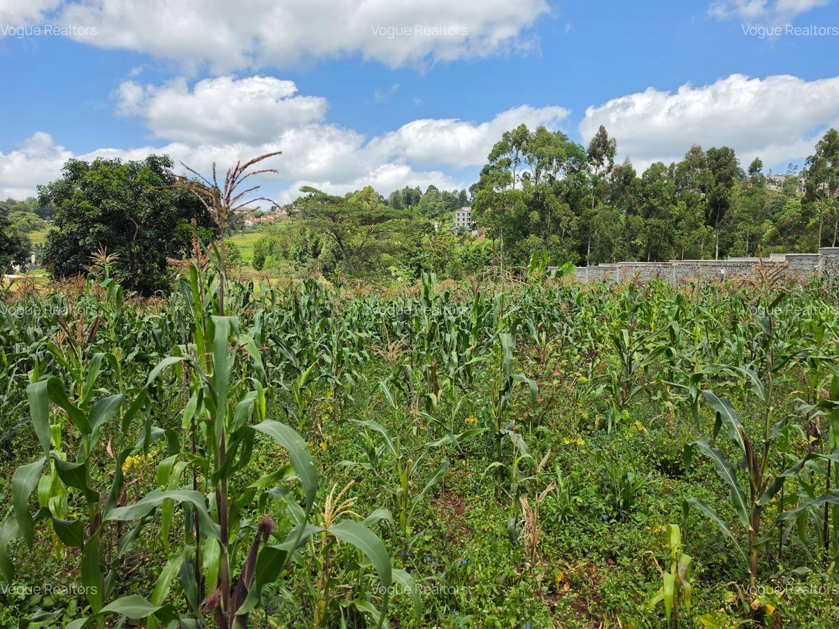Land at Kibiko - 2