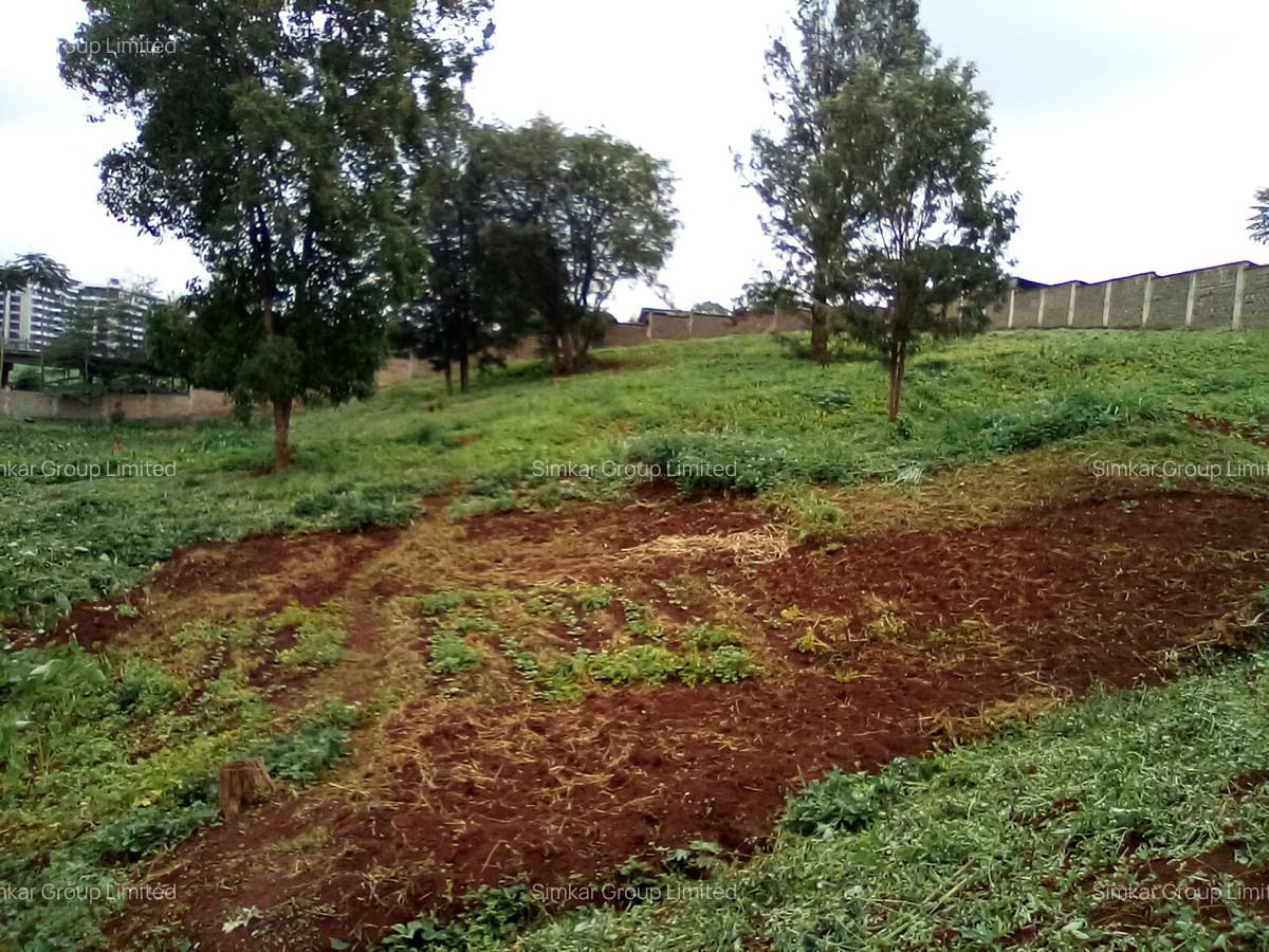 Land at Red Hill Rd - 17