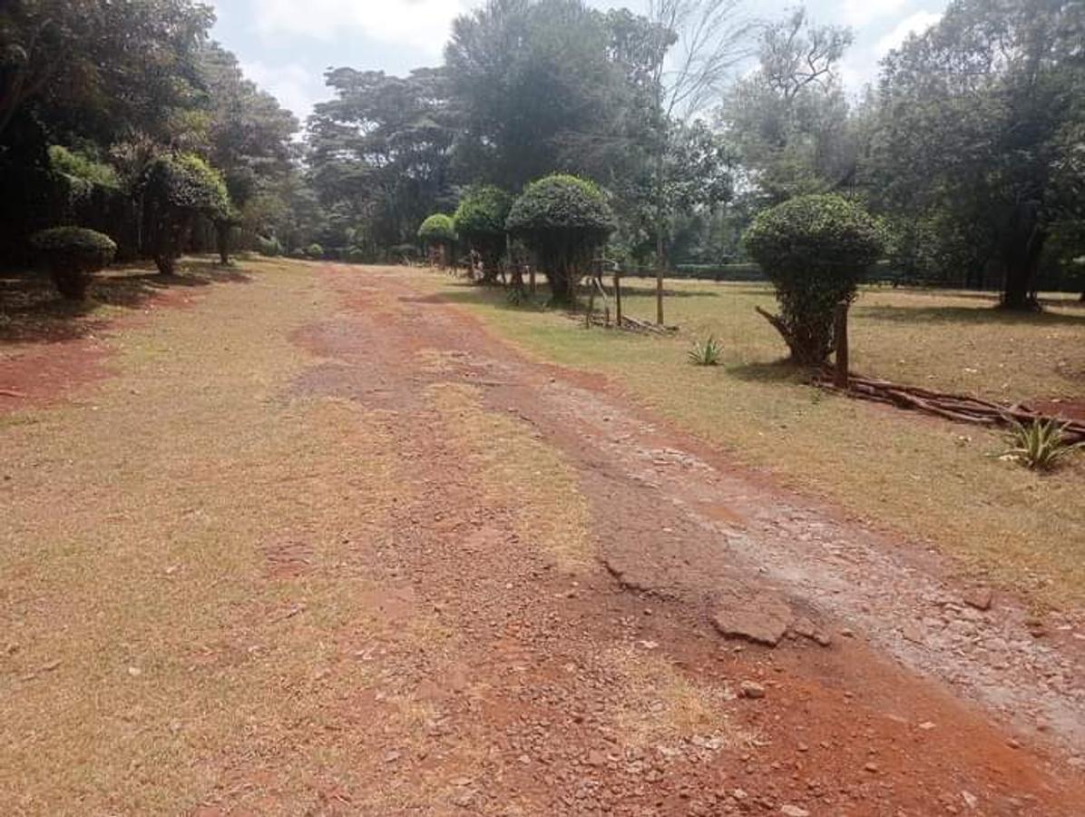 3 ac Land in Karen - 2