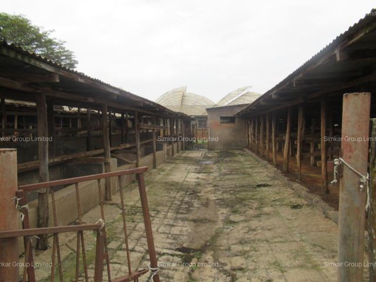 Land at Red Hill - 14