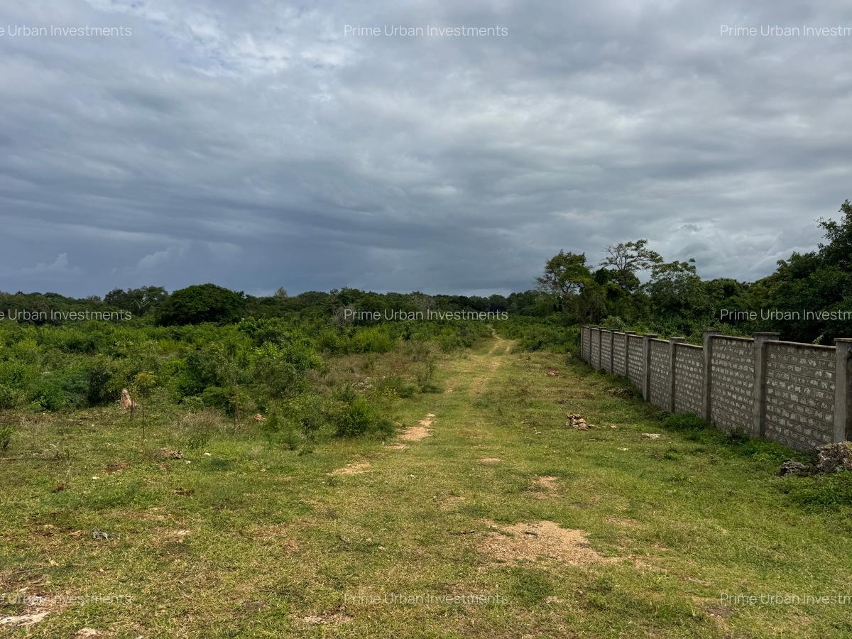 10 ac Land in Vipingo - 11