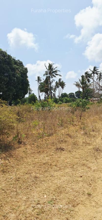 Land in Kilifi - 11