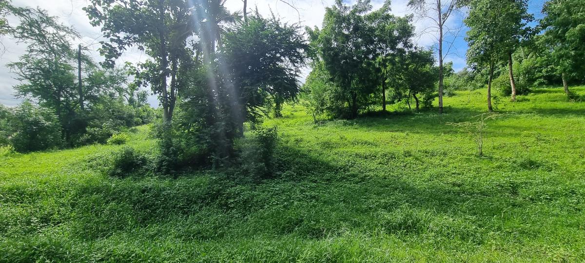 2.5 ac Land at Mtwapa Creekside - 19