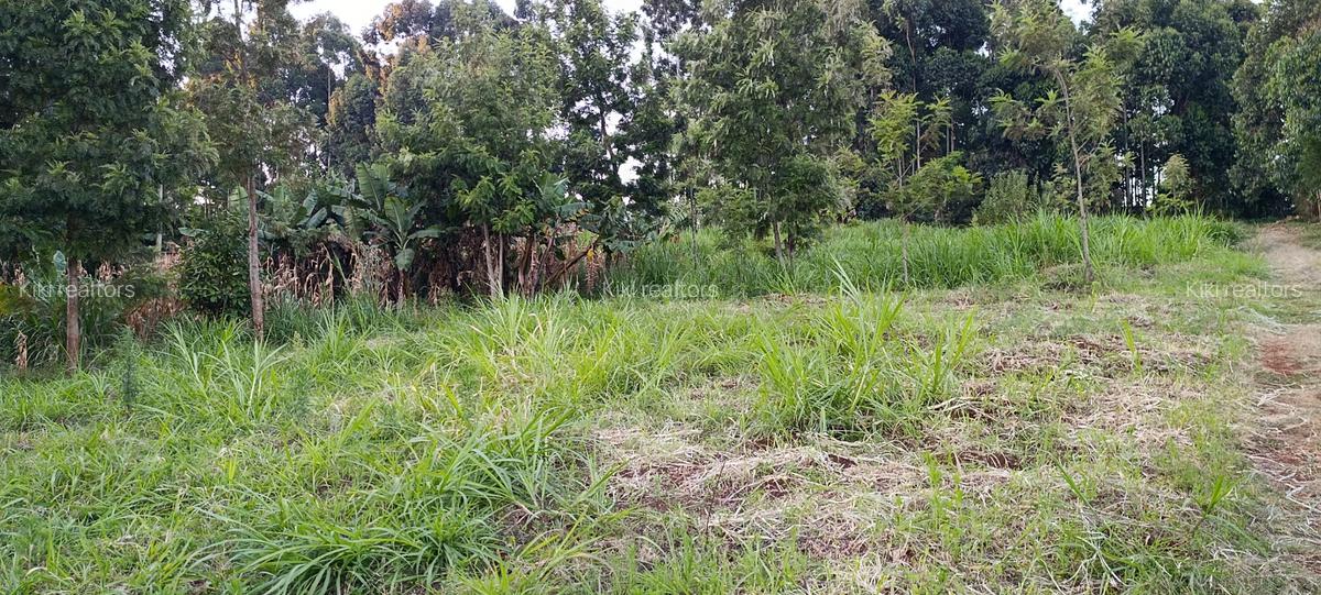 Residential Land in Kikuyu Town - 5