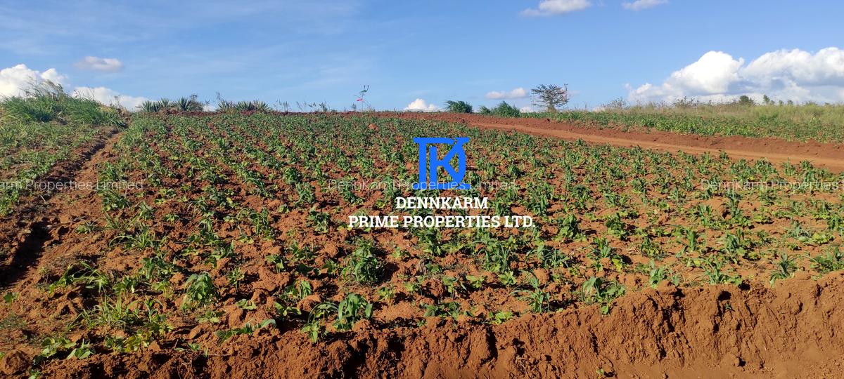 0.05 ha Residential Land at Thigio - 5