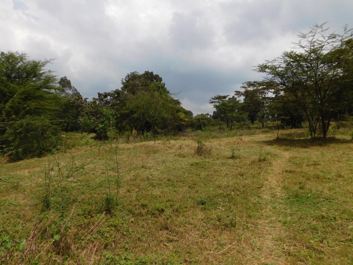 9 ac Land in Karen - 7