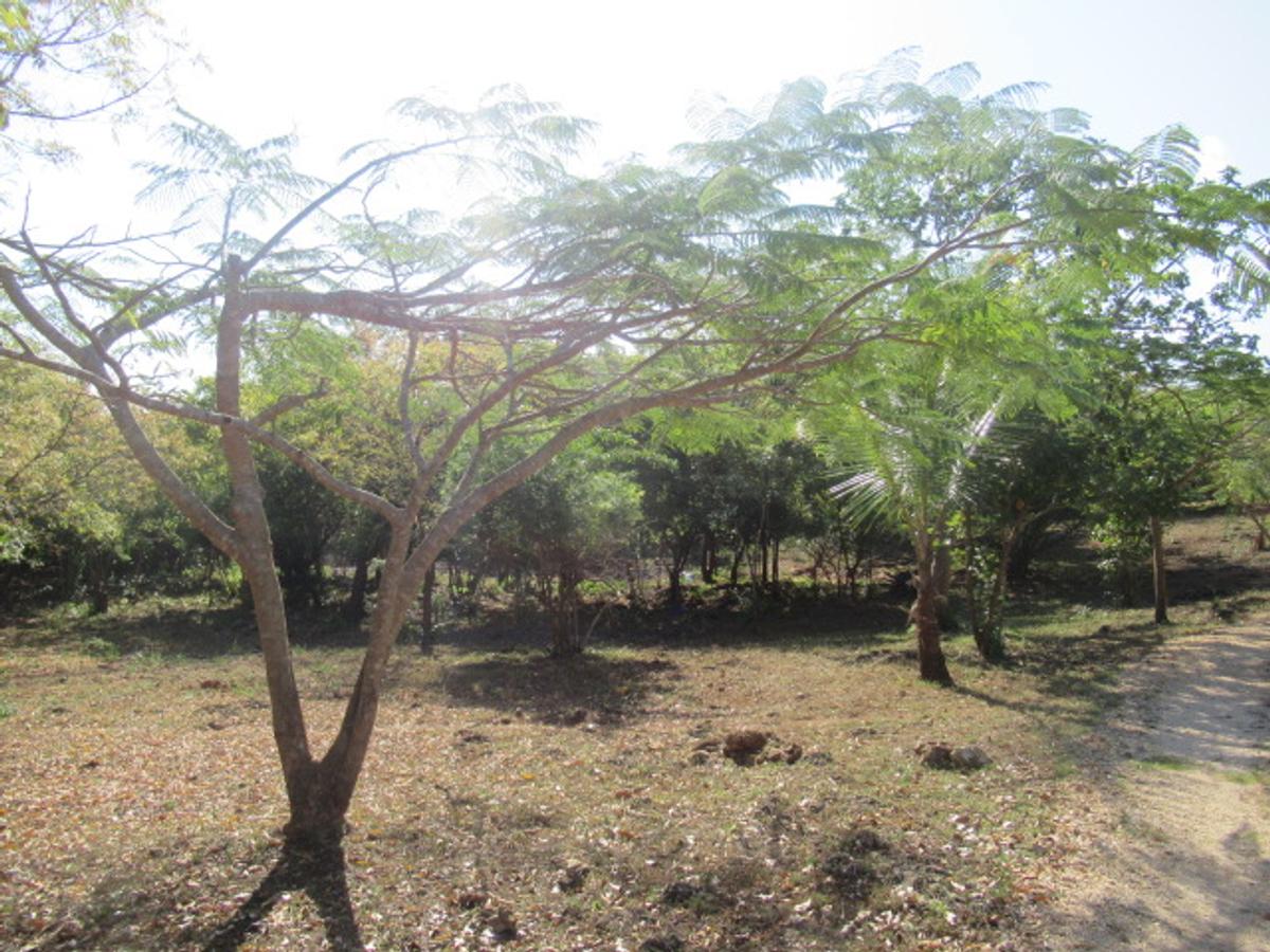 Land at Off Diani Beach Rd - 2