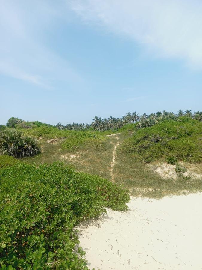 Land in Malindi - 5