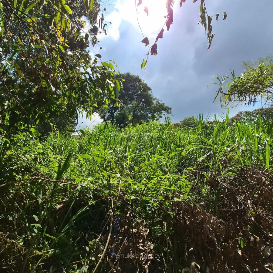 Commercial Land in Kitisuru - 2