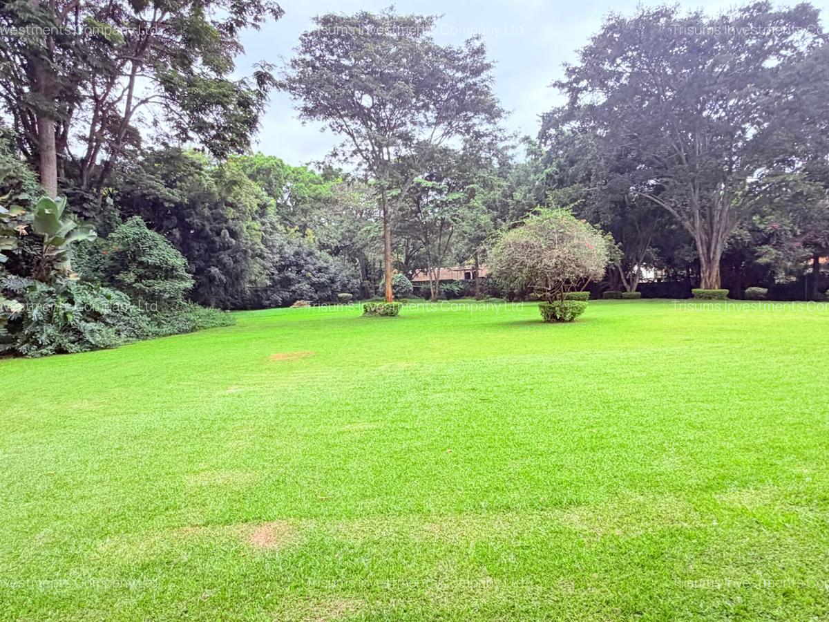 4.1 ac Land in Rosslyn - 12