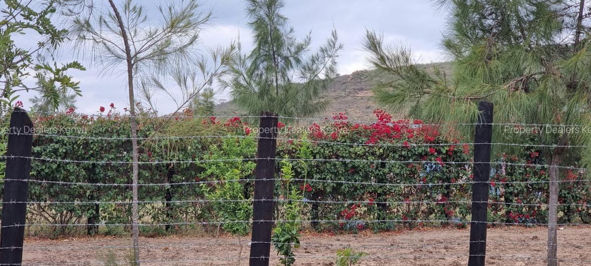 505 m² Residential Land at Mutongoni Road - 4