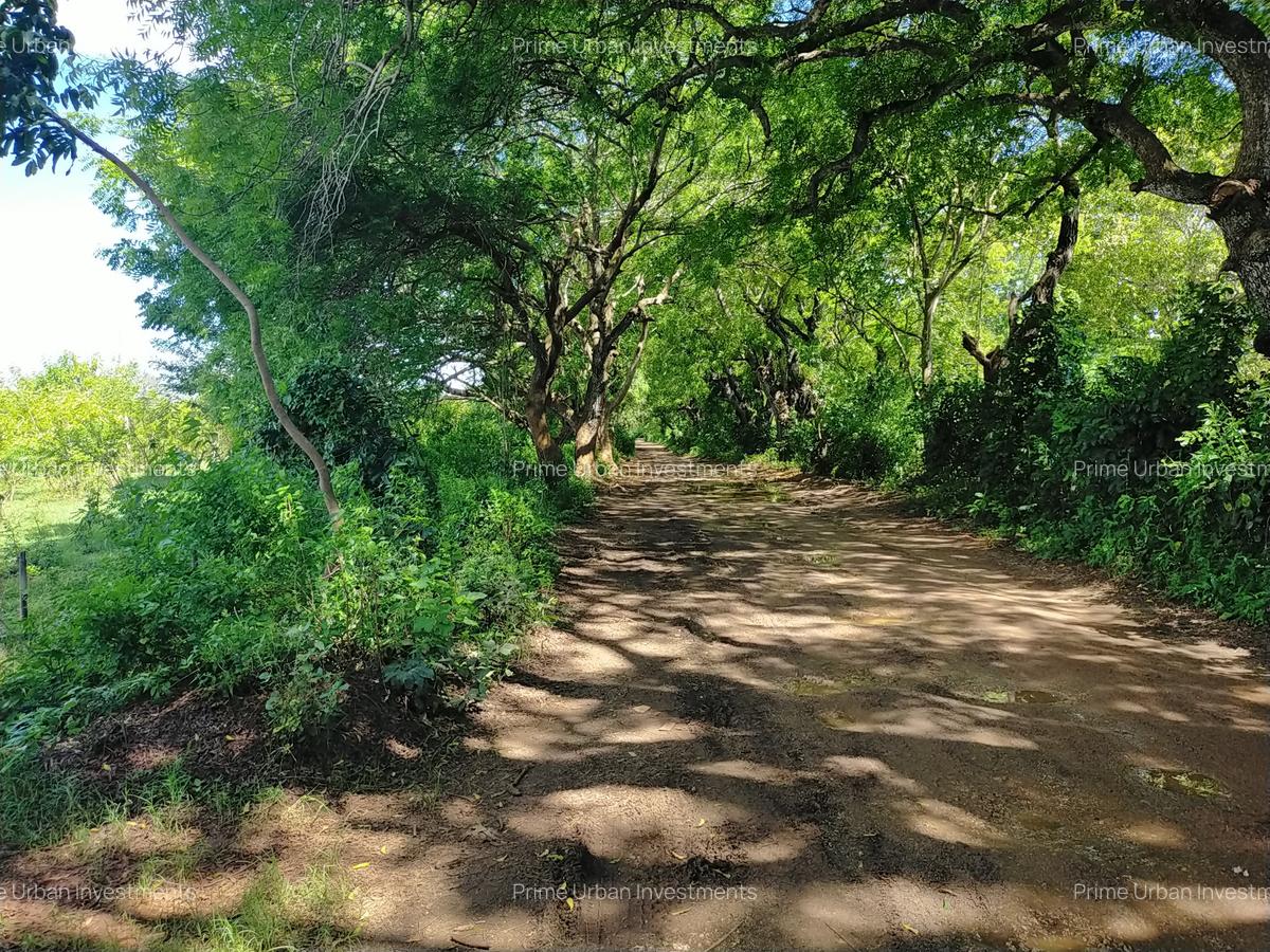 Land in Vipingo - 19