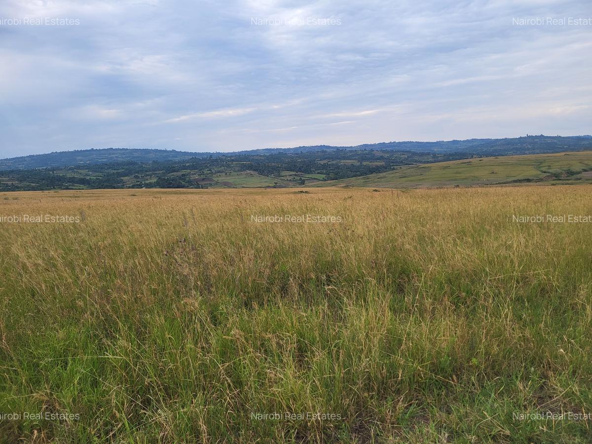Land in Narok - 2