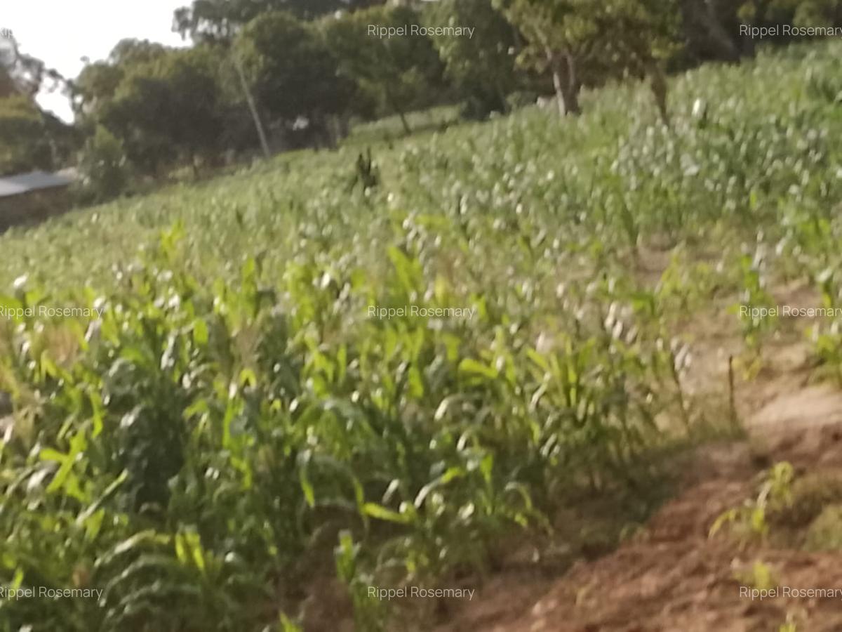 3 Bed House with Garden at Malindi Road - 7