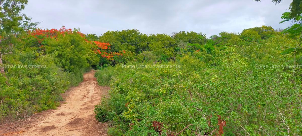 40 ac Land at Vipingo Kuruwitu - 14