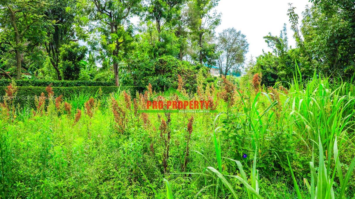 0.05 ha Commercial Land at Thogoto - 3