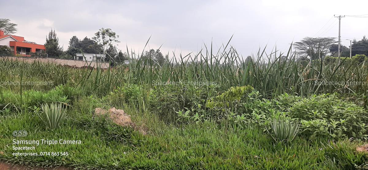 Land in Runda - 4