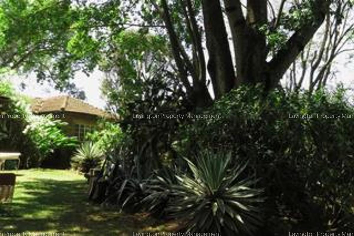 0.78 ac Land at Chalbi Drive - 2