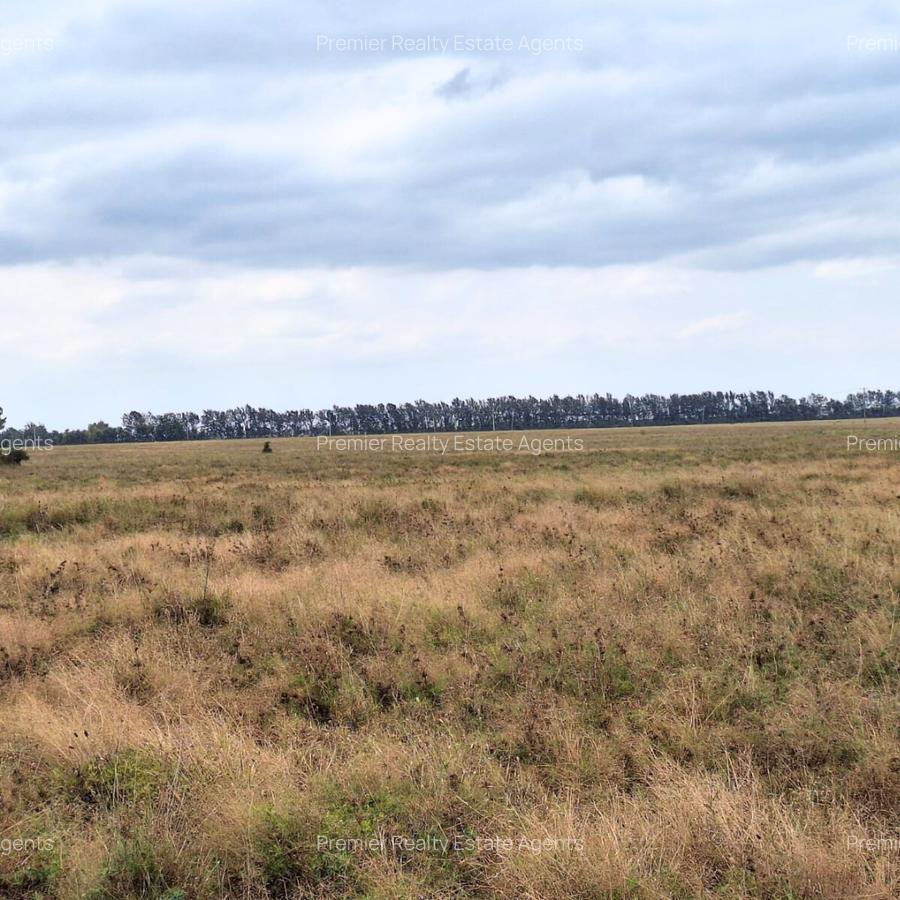 700 ac Land at Bisil - 2