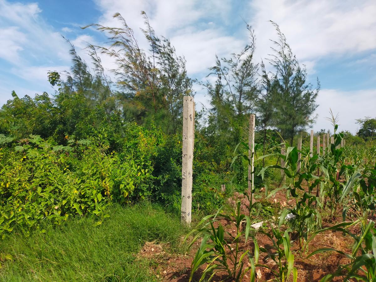 Land in Vipingo - 12