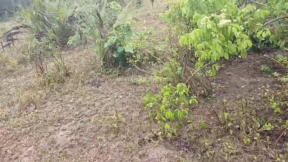 2.8 ha Commercial Land at Tiwi - 14