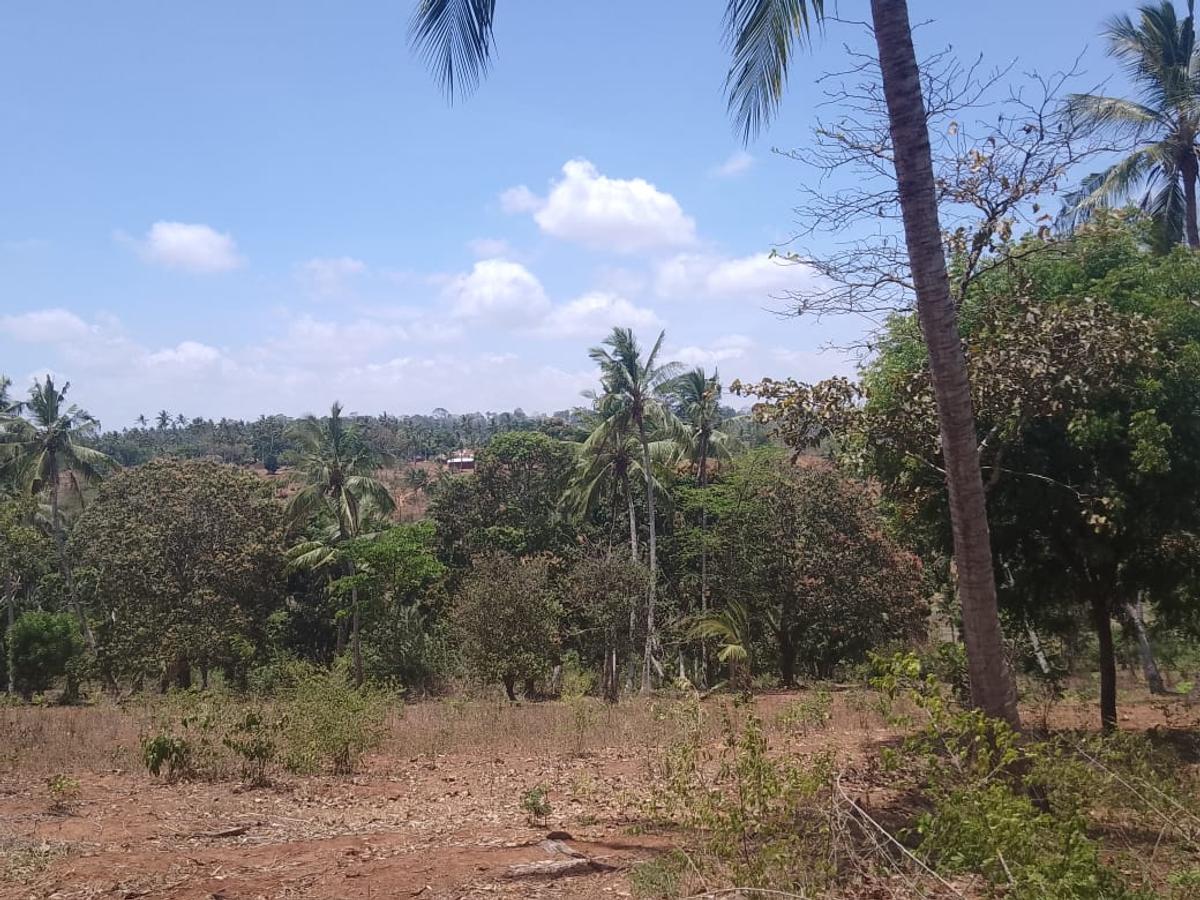 90 ac Land at Ridge - 5