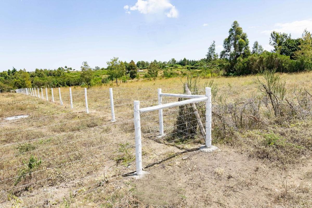 0.125 ac Residential Land in Nanyuki - 3