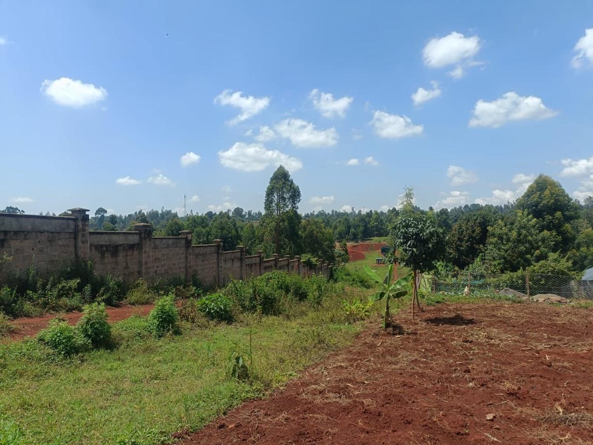 0.05 ha Land at Kiambu Ndumberi Ngemwa - 5