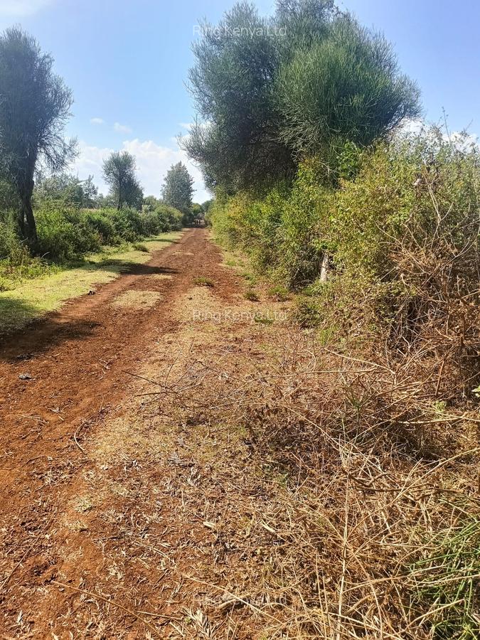 Land at Kibirichia - 10