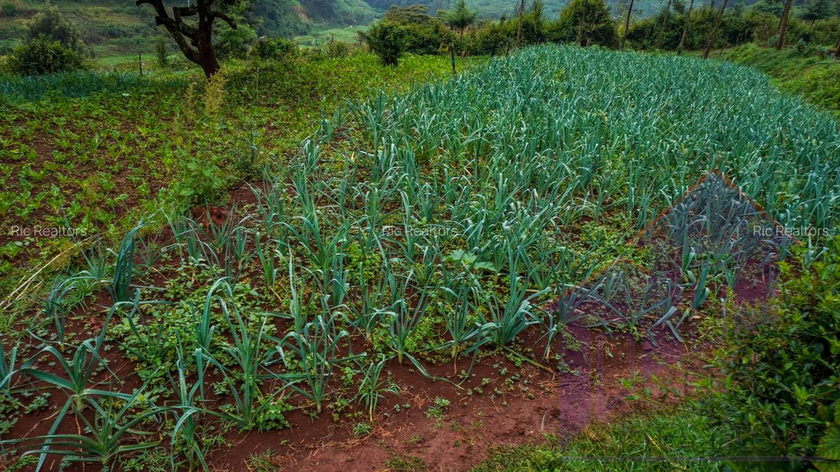 0.25 ha Land at Karinde Road - 7