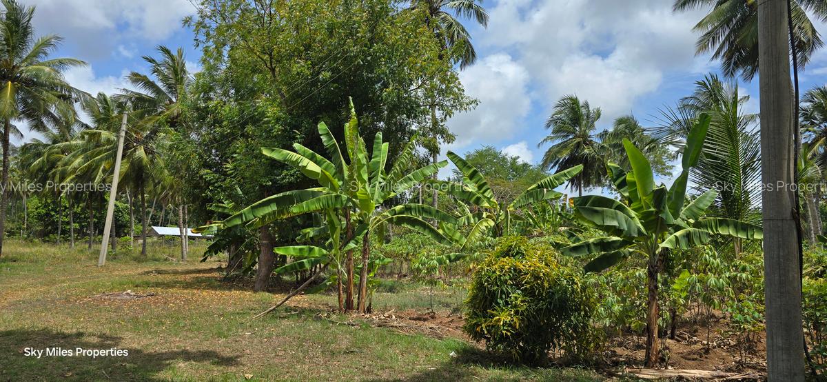 6 ac Land at Bomani - 12