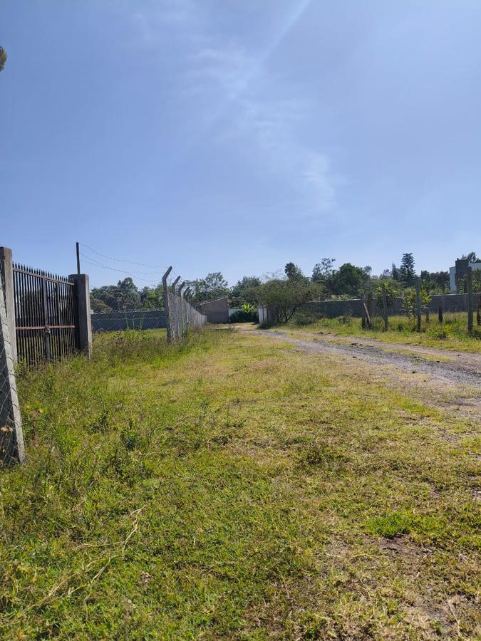 Residential Land at Marula Road - 14