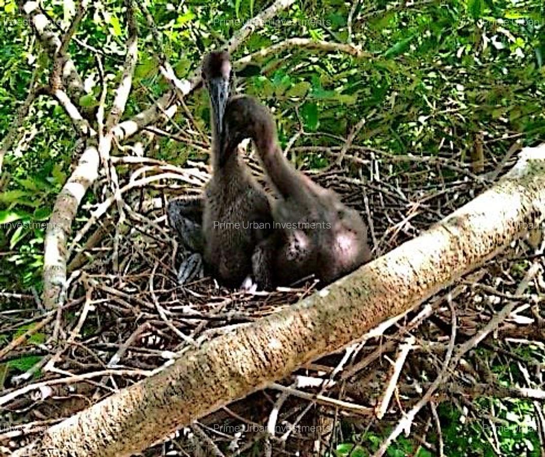 8,093.72 m² Land in Mtwapa - 3