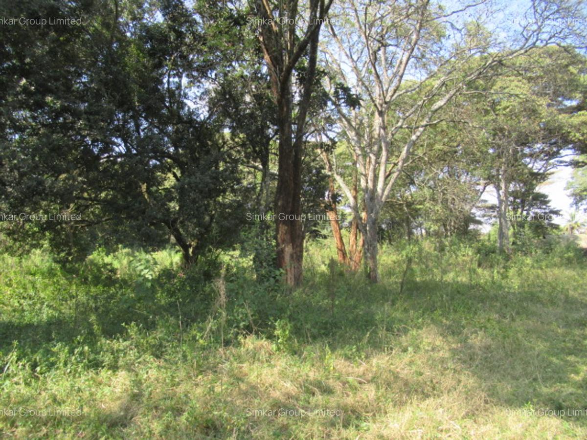9 ac Land at Karen - 1