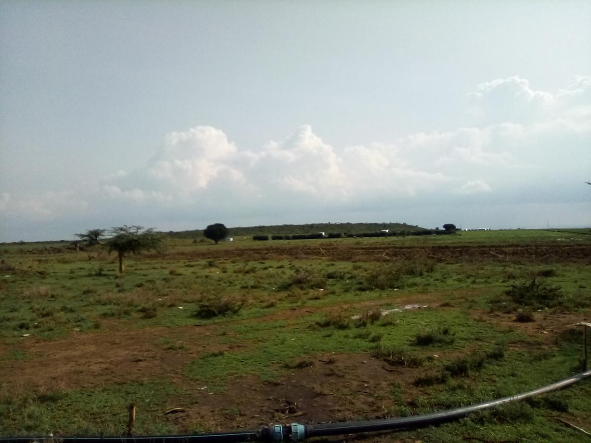 Land at Nanyuki-Rumuruti Rd - 13