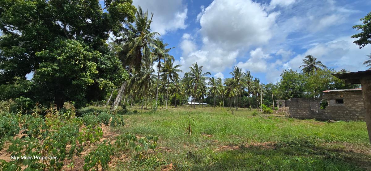 6 ac Land at Bomani - 15