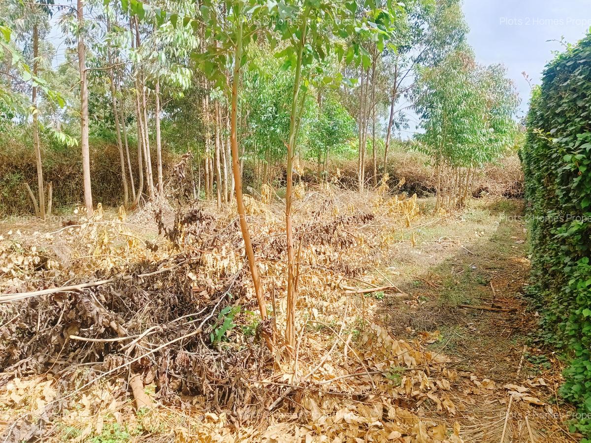 500 m² Residential Land at Gikambura Primary - 7